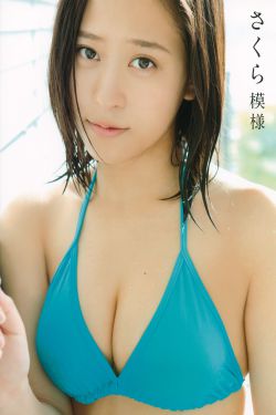 玉面桃花总相逢 电视剧